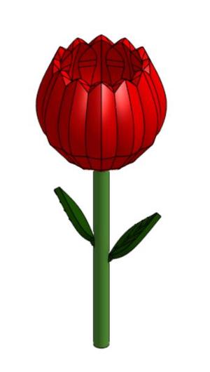 Tulip