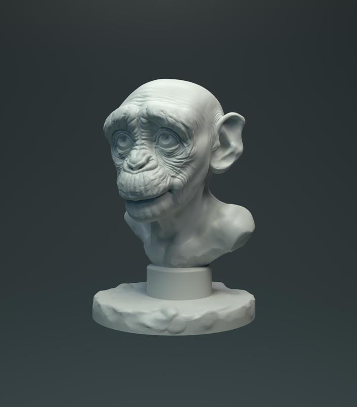 Baby Chimp Bust