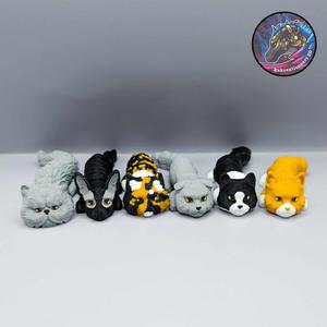 Baby Flexi Cat Set (set of 6)