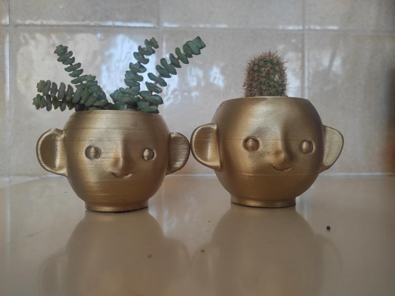 Head with hair planter