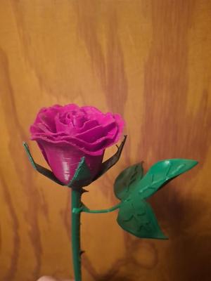 Rose remix, stem, leaf, and sepal