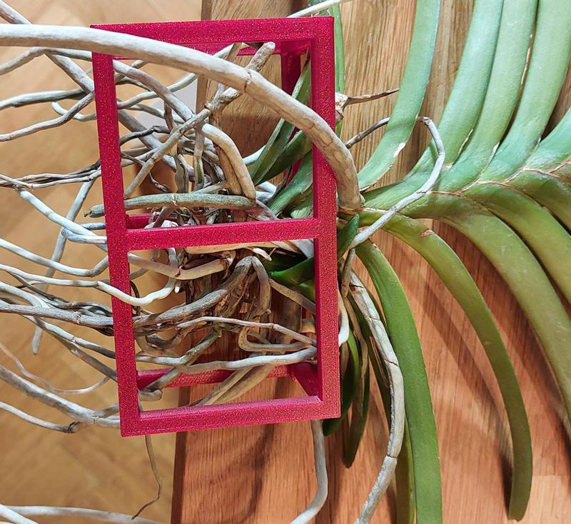 Vanda orchid holder