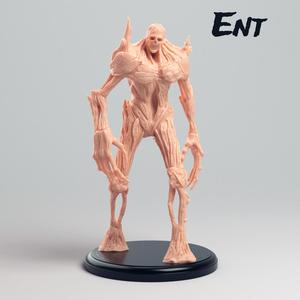 Ent