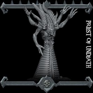 Priest of Undeath