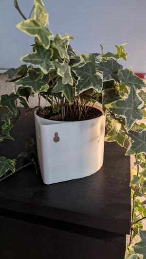 Corner Wall Plant Pot