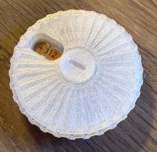 Size 312 hearing aid battery case