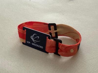 Split Buckle Festival Wristband Clip