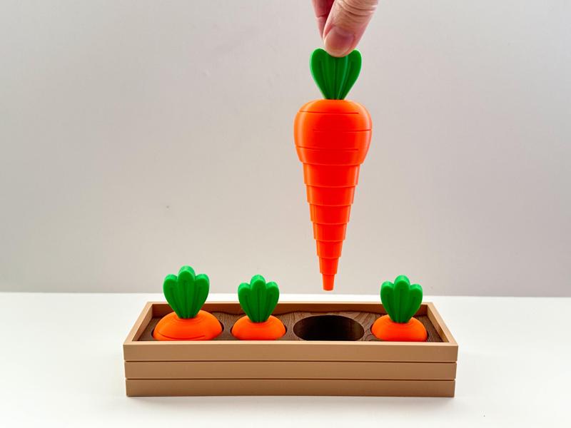 Carrot Garden (2 sizes)