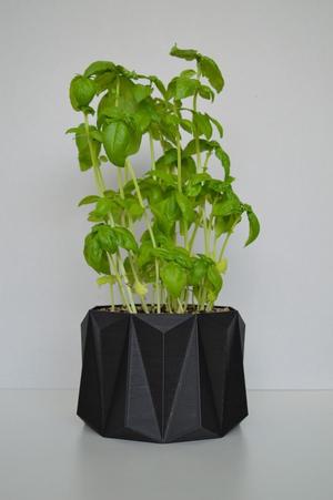 Geometric planter