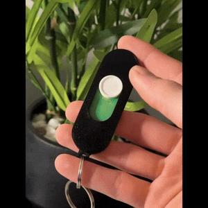 Switch Fidget Keychain