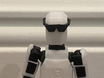 Dummy 13 Sunglasses