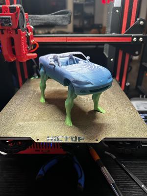 Francis, The Buff Legged Miata