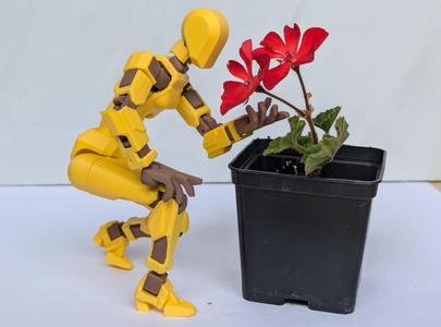 Lady Dummy 13. Female model