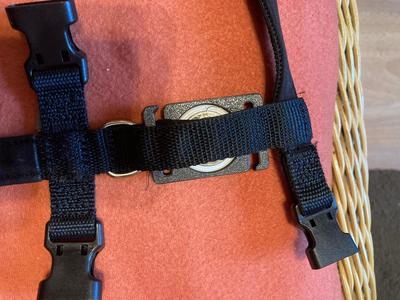 Airtag dogs collar