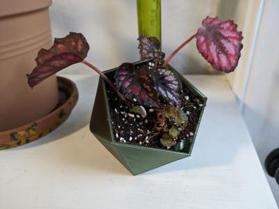 Hexagon Vase 