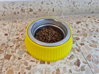 Pet Bowl Holder   