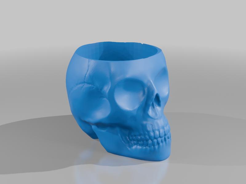 Skull toilet brush holder