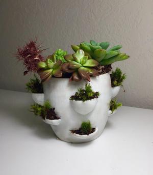 Desktop Flower Pot