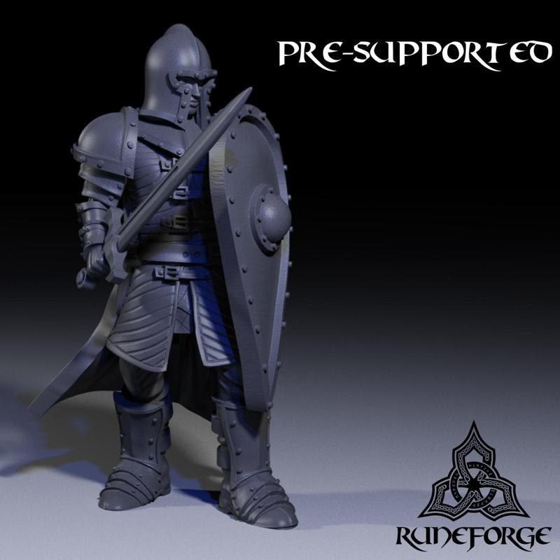 City Guard - Sword and Shield - Guarding