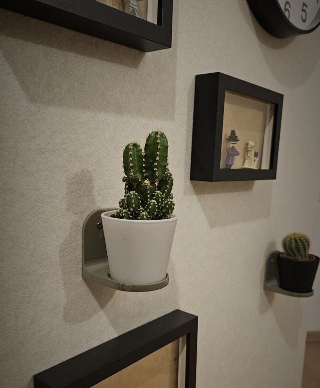 IKEA CACTACEAE CACTUS Wall Mount