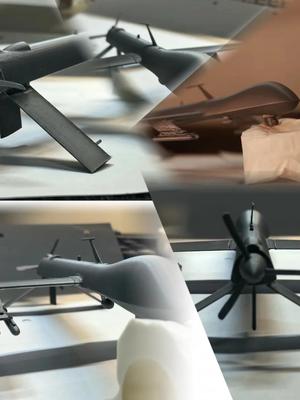 Predator Drone