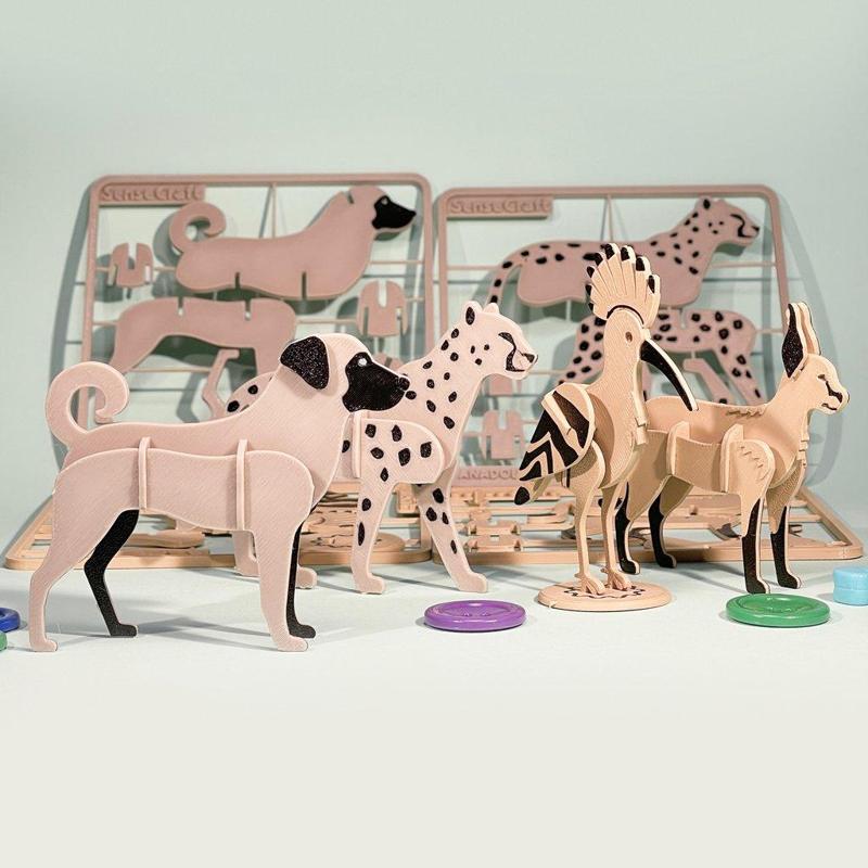 Turkey wild animal kit card series