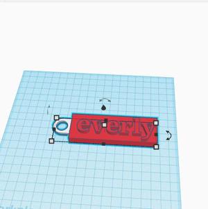 everly name tag
