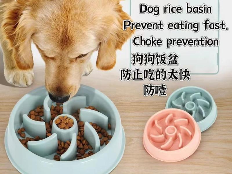 Dog rice basin