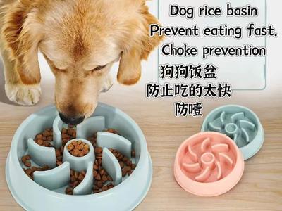 Dog rice basin