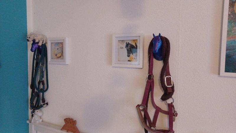 Horse Head Wall Hook