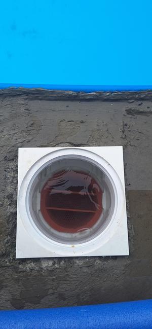 Astral pool filter basket