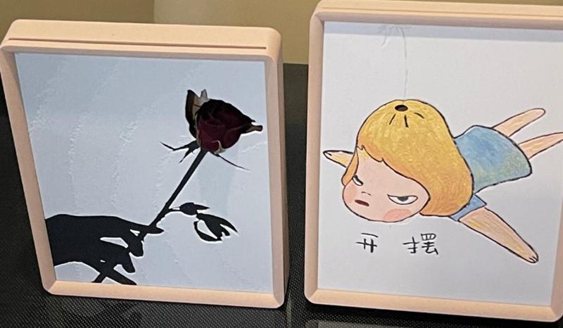 Vase frame with sink for replaceable artwork花瓶画框