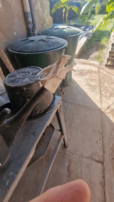 Dragon Dragon Watering Can Adapter 