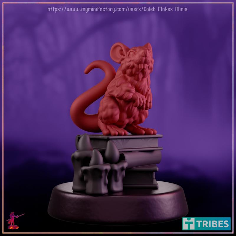 Rat - Familiar [PRE-SUPPORTED] | Followers & Familiars Series