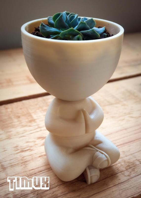 ROBERT PLANT ZEN WITH SHOES