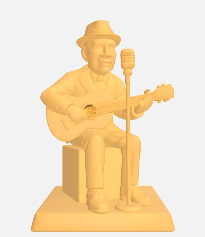 Folk singer performing with a guitar