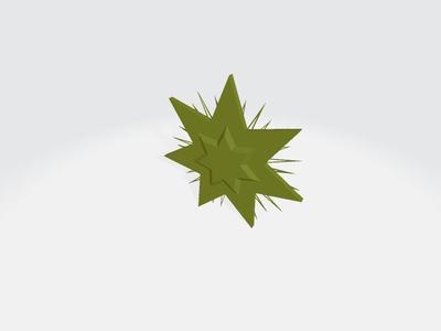 Christmas star