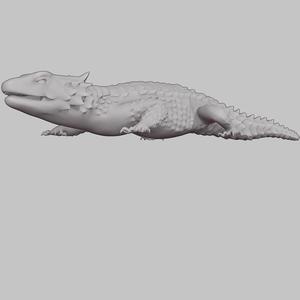 Lizard
