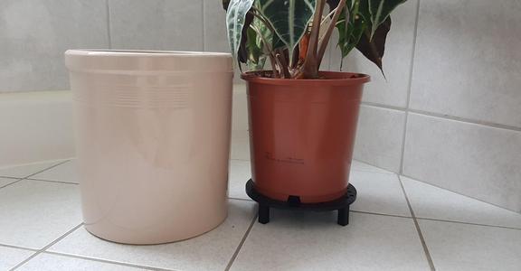 Plant table