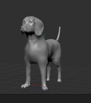 Beagle
