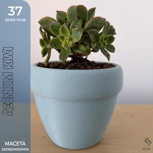 PotB_36