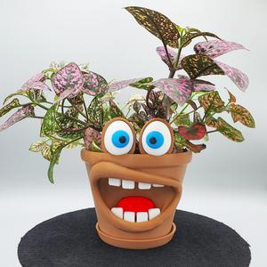 Funny Planter Pot- Chomper Pot