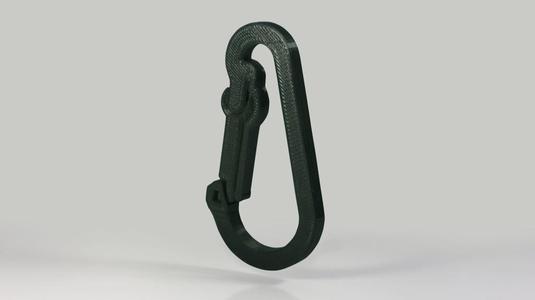 Carabiner (mosqueton)