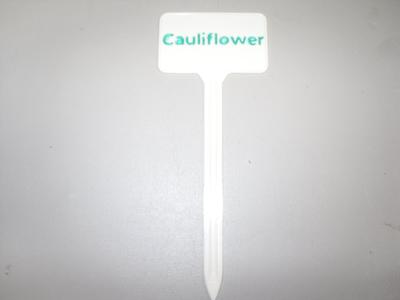Plant Label Cauliflower