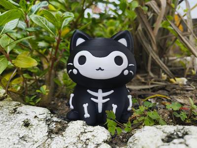 Halloween Special - Skeleton Cat