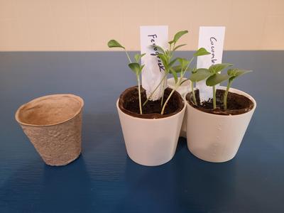 Seed Starter Pot Holder