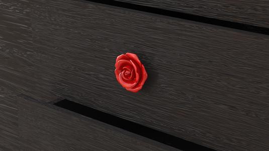 Beautiful rose cabinet knob