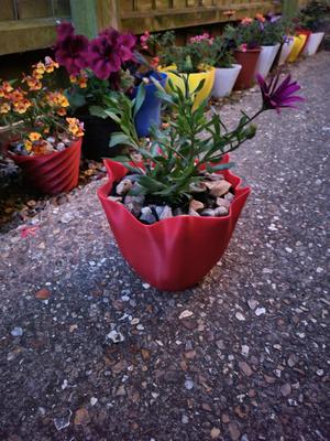 Cement rag flower pot