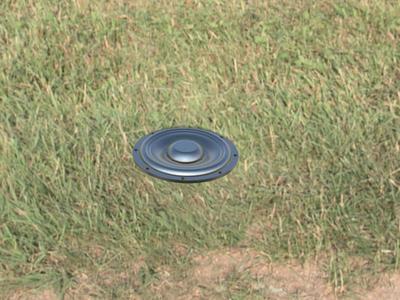 Bass Sub Disk Golf marker