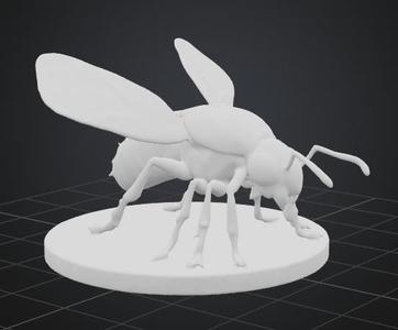 Insect Model
